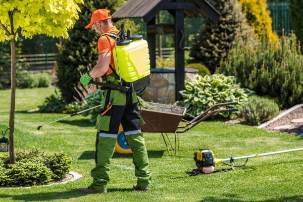 Best Fumigation Services  in Heyburn, ID